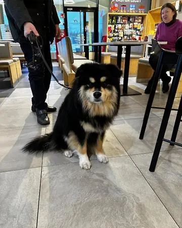 Niemenharjun Matkailukeskus Resort Pihtipudas