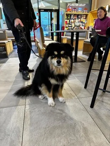 Niemenharjun Matkailukeskus Feriested Pihtipudas