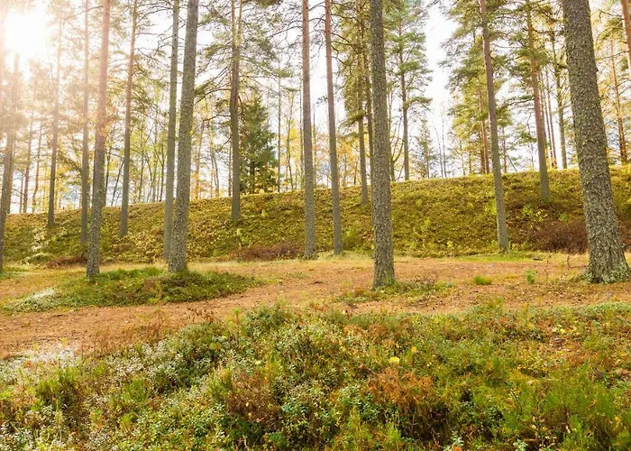 Niemenharjun Matkailukeskus Feriested Pihtipudas